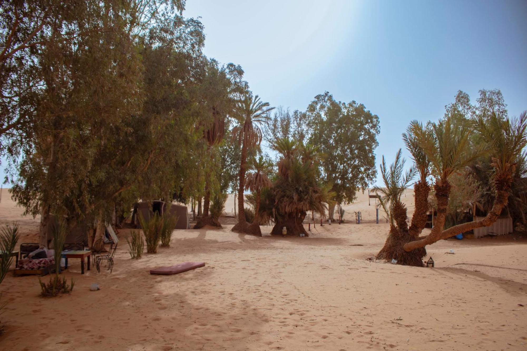 Oasis Desert Camp Obira メルズーガ エクステリア 写真