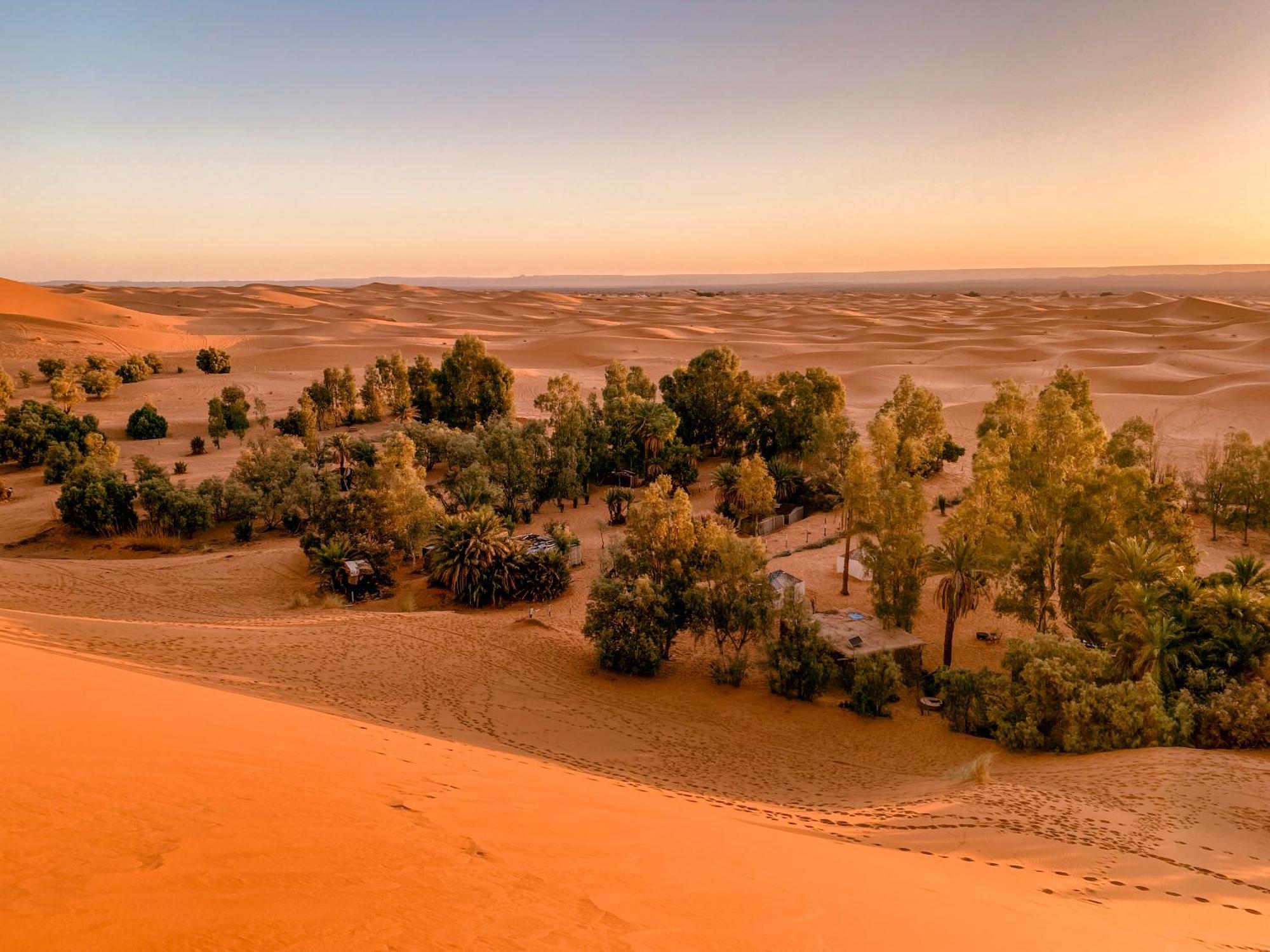Oasis Desert Camp Obira メルズーガ エクステリア 写真