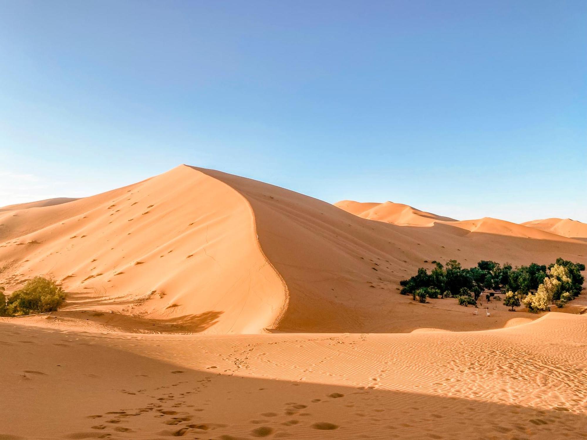 Oasis Desert Camp Obira メルズーガ エクステリア 写真